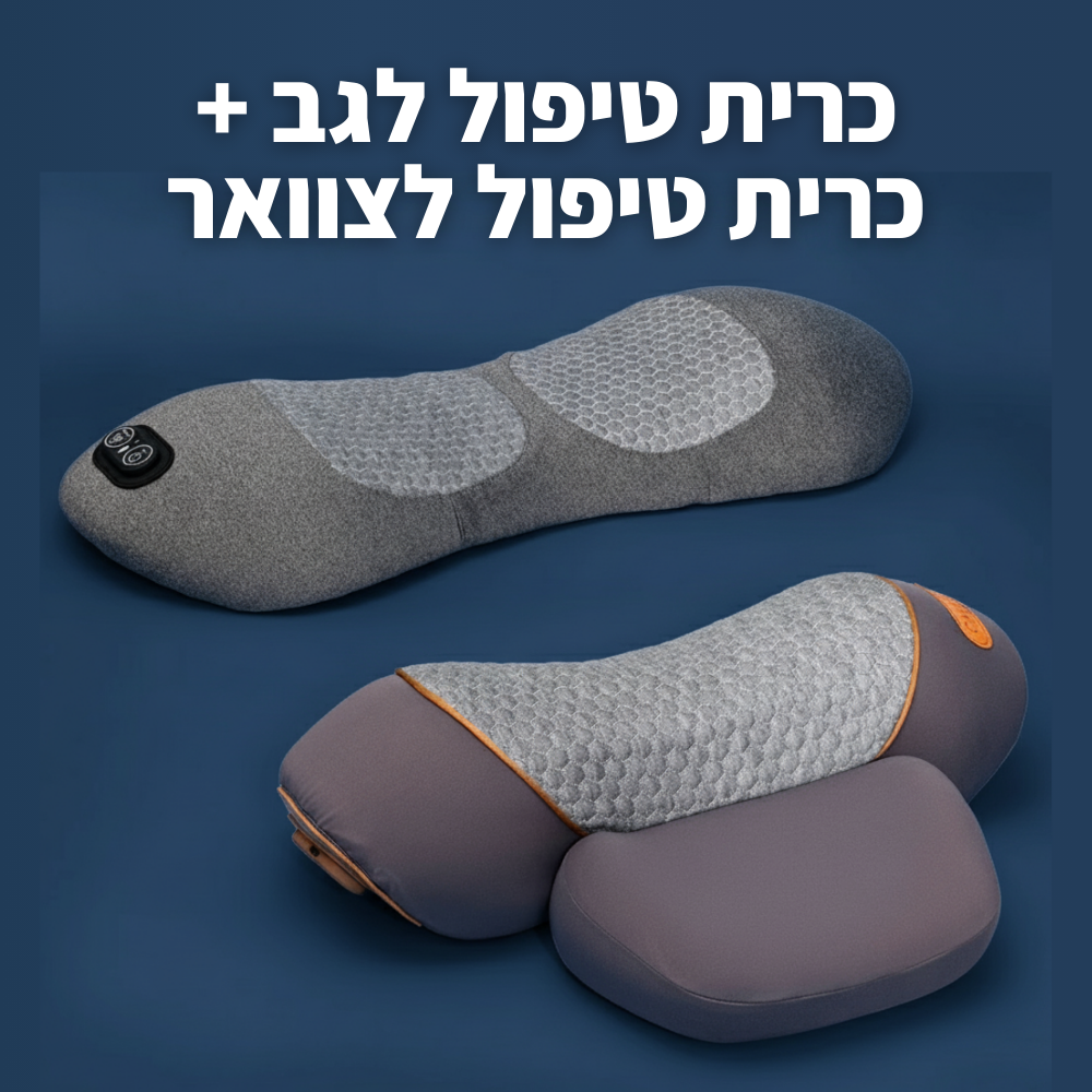 FreeBack - כרית הטיפול לגב