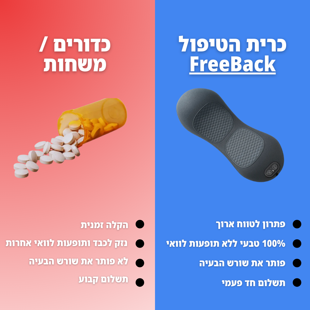 FreeBack - כרית הטיפול לגב
