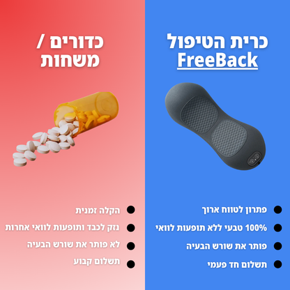 FreeBack - כרית הטיפול לגב