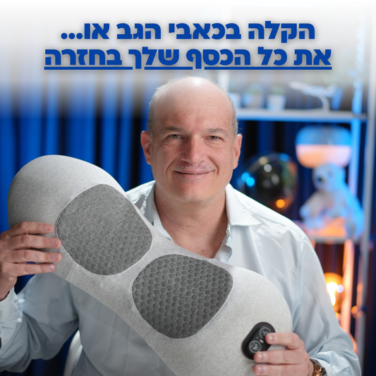 FreeBack - כרית הטיפול לגב