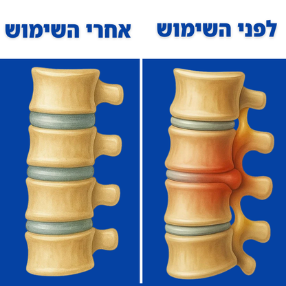 FreeBack - כרית הטיפול לגב
