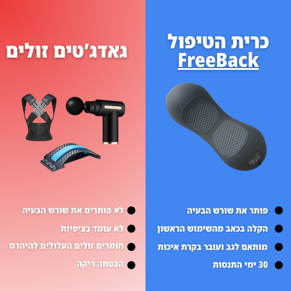 FreeBack - כרית הטיפול לגב