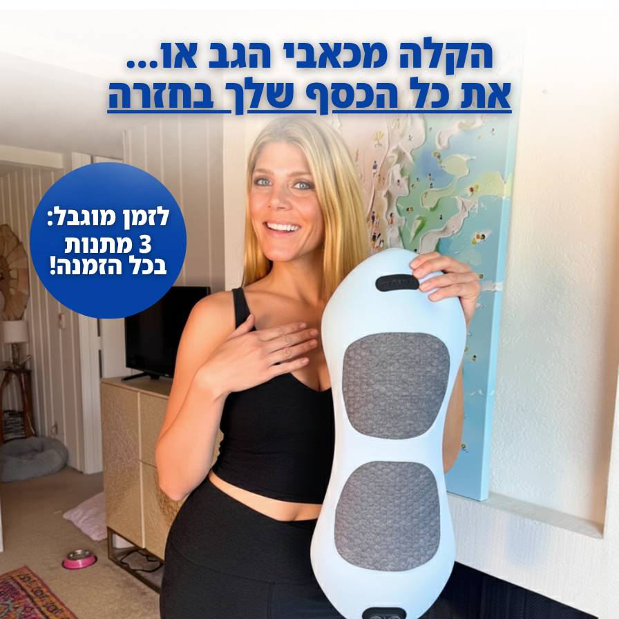 FreeBack - כרית הטיפול לגב